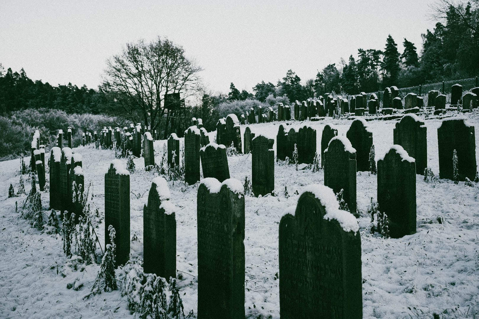 Binsförth, Jüdischer Friedhof